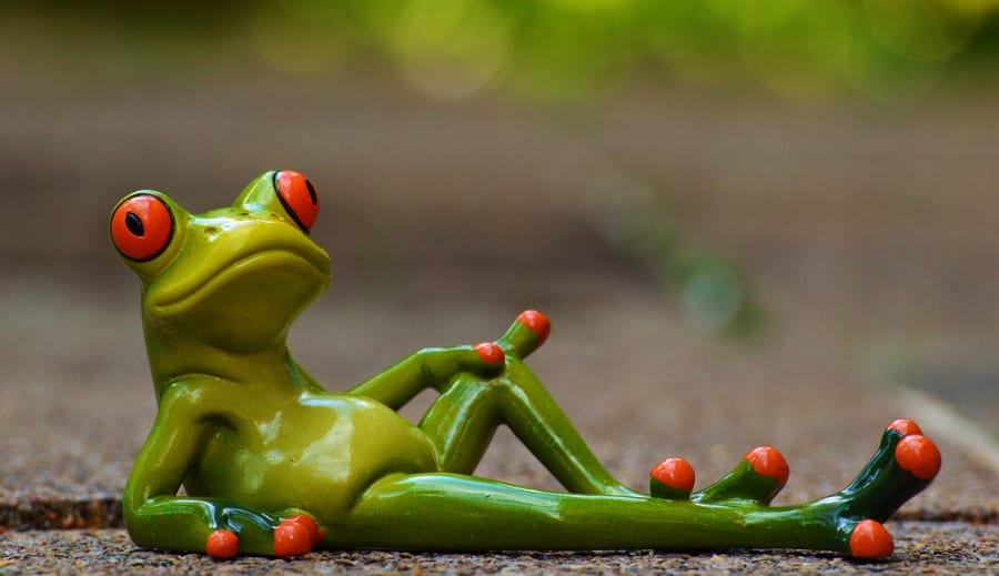 Dagens kraftdjur – Groda