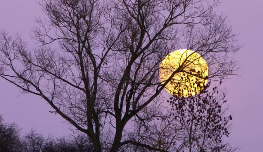 En port till det dolda