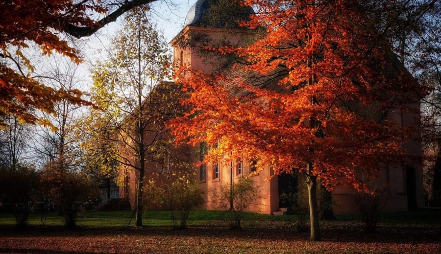 November: Från Skorpionens Djup till Skyttens Eld