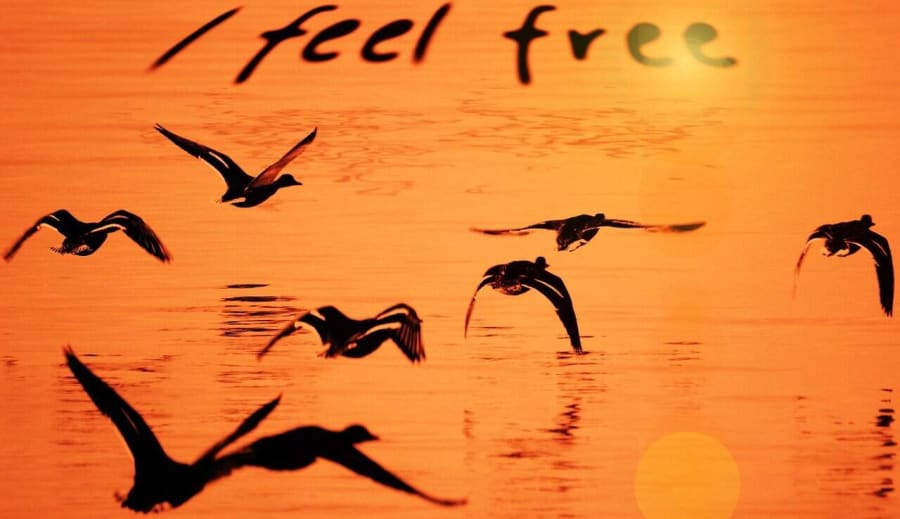 Klipp dina band, du får vara fri nu