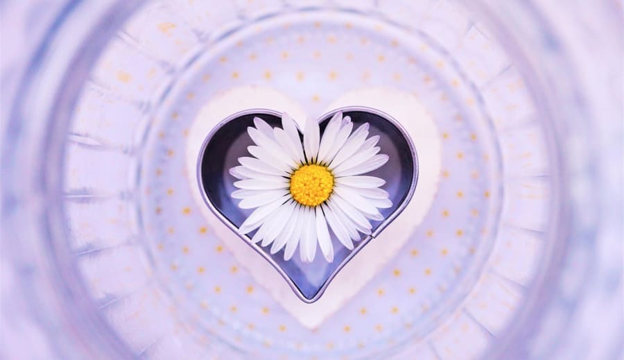 888: När Universum Svarar i Cirklar