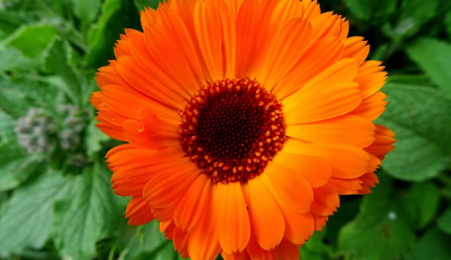 När enkelhet blir läkande