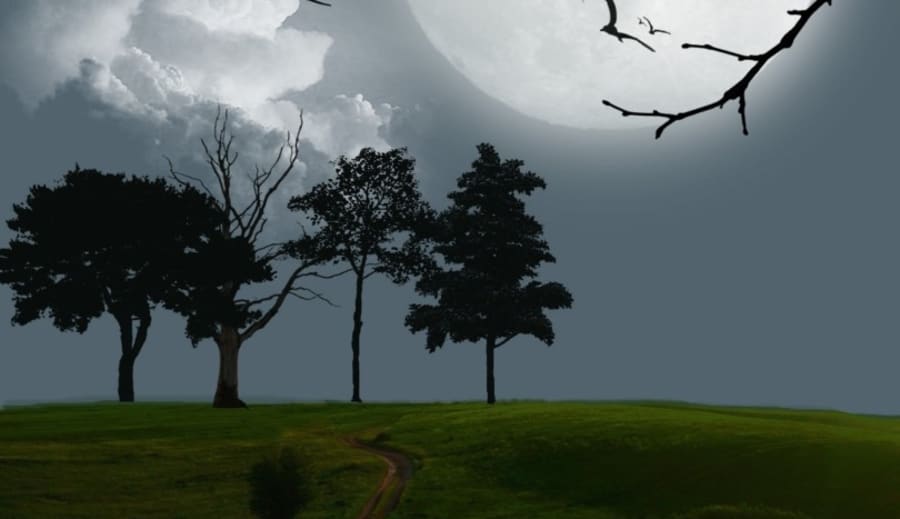 Köldmånen 2025: Årets Sista Supermåne Lyste Upp Vinternatten