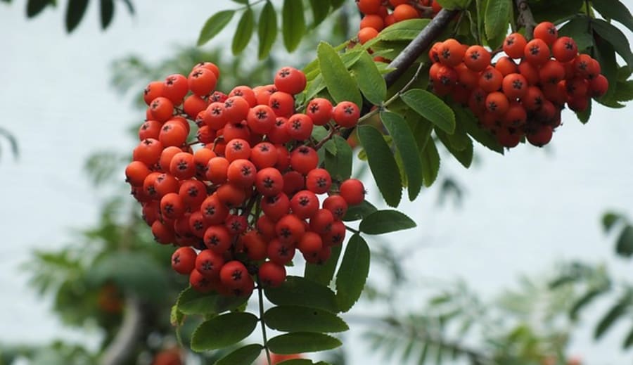 Nummer 11 som änglatal – idag