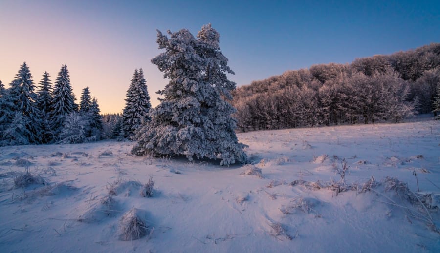 En resa genom tid, tro och tradition