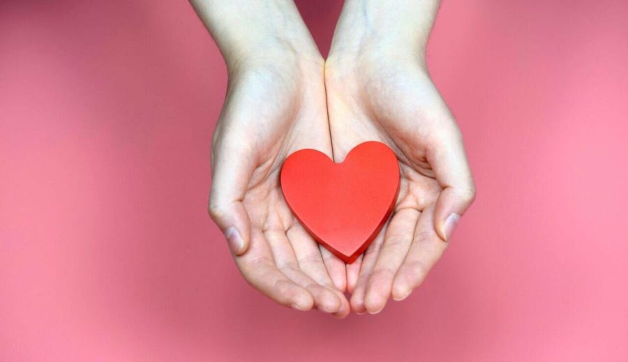 Vårda, älska och ta hand om