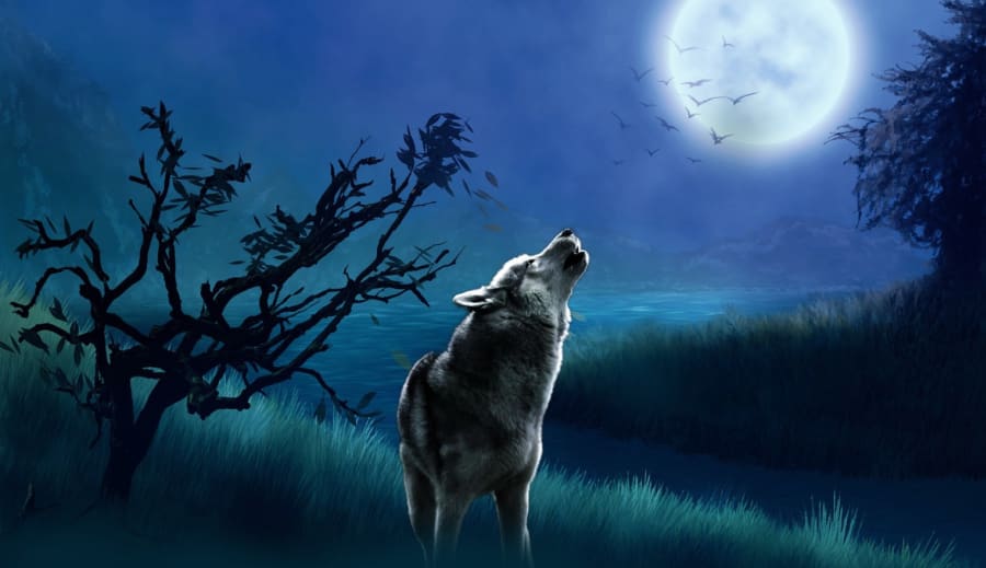 En port mellan det som varit och det som vill födas