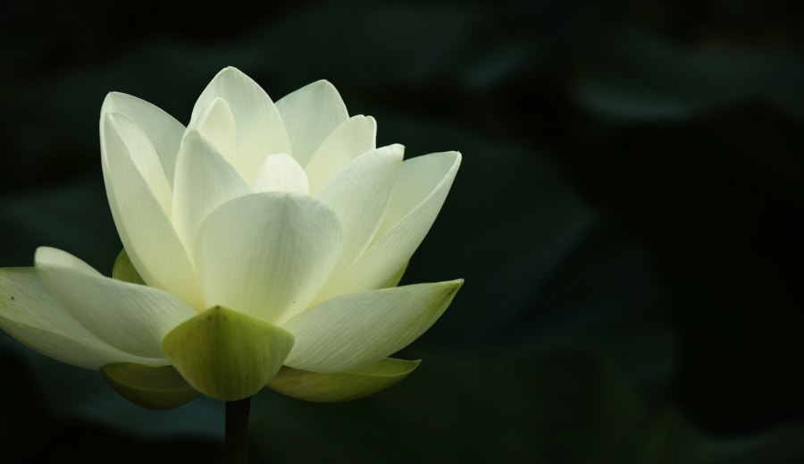 Karma, vad du ger kommer tillbaka