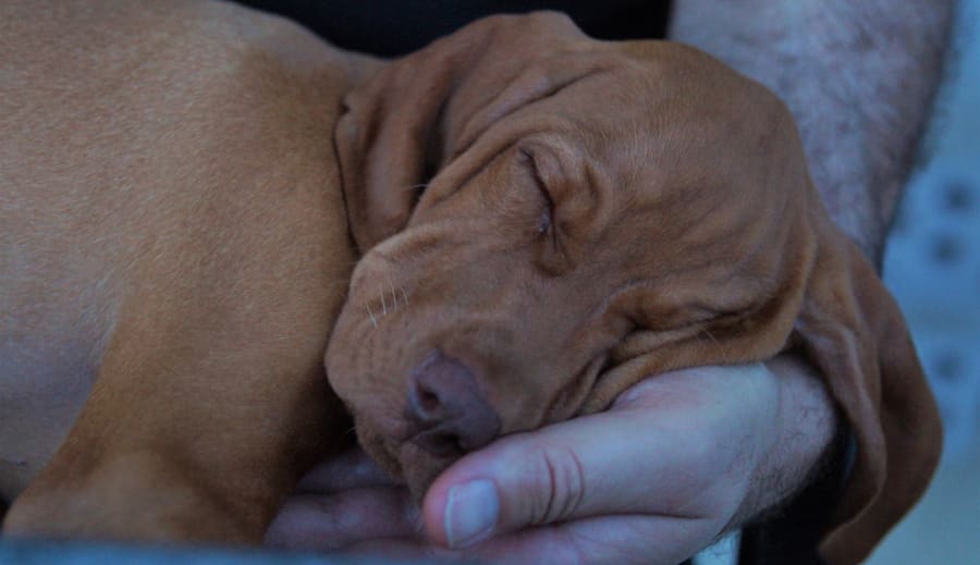 Stoler på gode sjeler