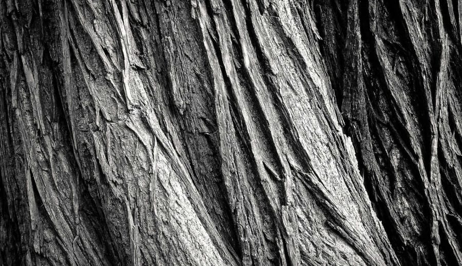 Tilbakevending til urkraften