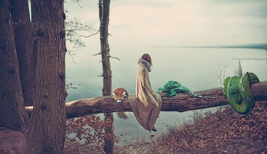 Miten lataat sosiaalista akkuasi