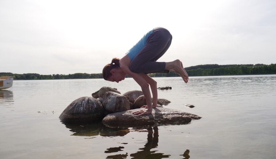 Ayurvedinen lääketiede
