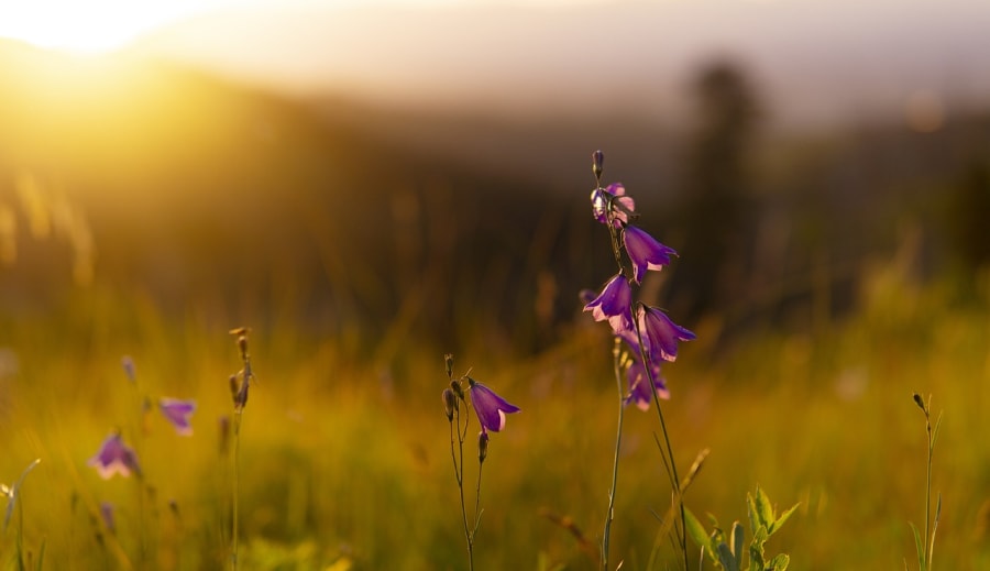 A teljesség megélésének a kulcsa