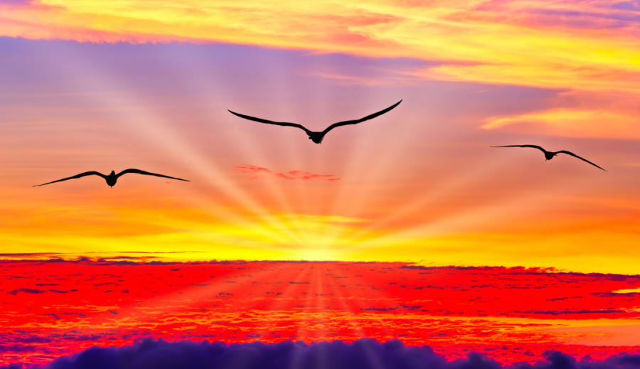 A VÁLTOZÁSOK TÖRVÉNYE 1-rész