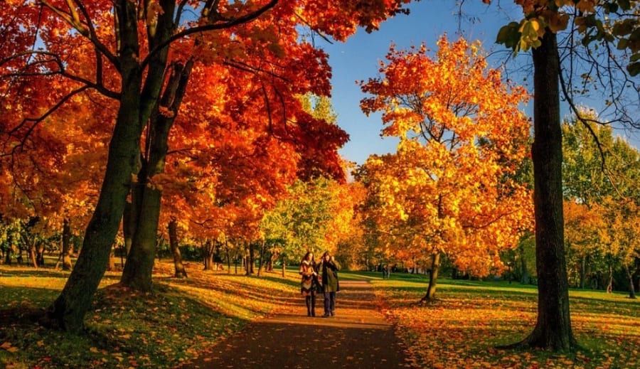 ÁLDÁSSAL ENGEDD EL A MÚLTAT…ŐSZI ENERGIÁK.