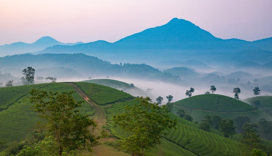 Dombok a kézen 2. Vénusz domb