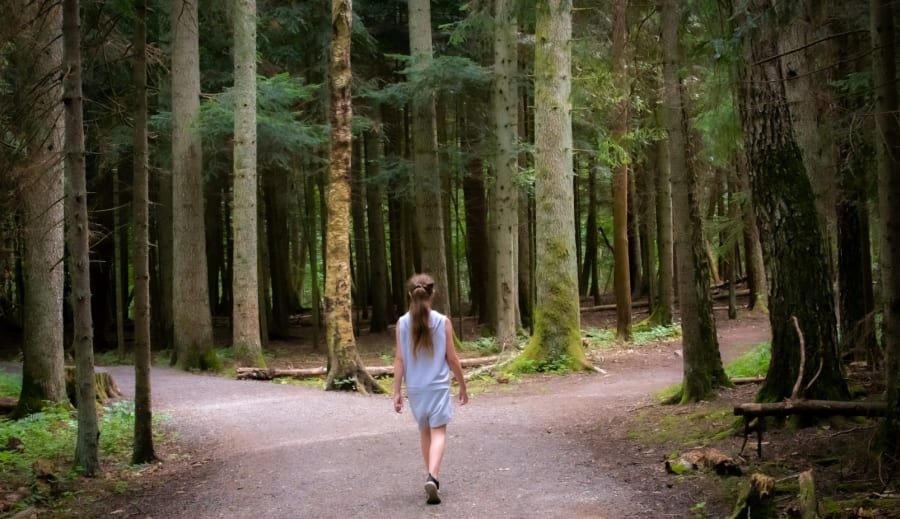 Az el nem élt életek energiája