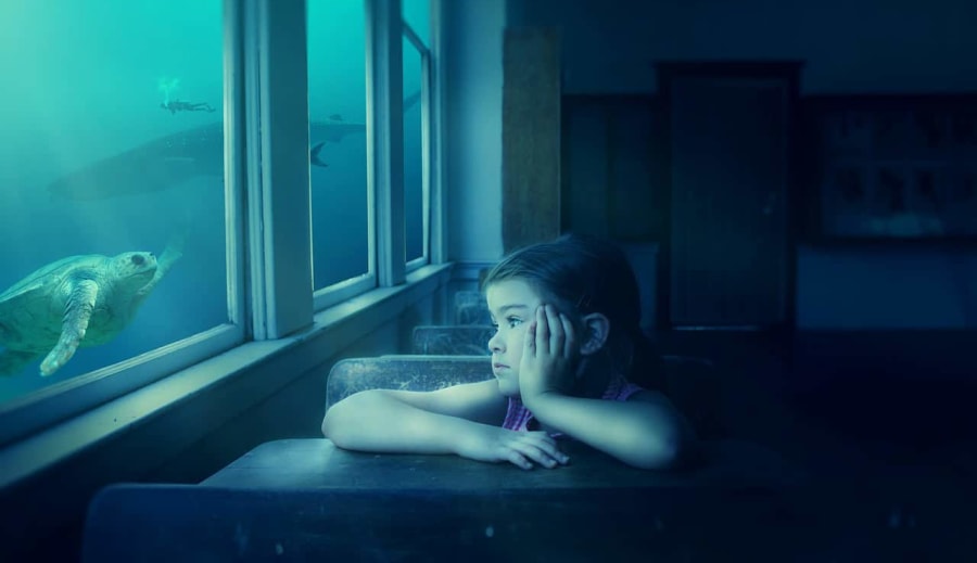 Érzelmi érintettség – Záró rész