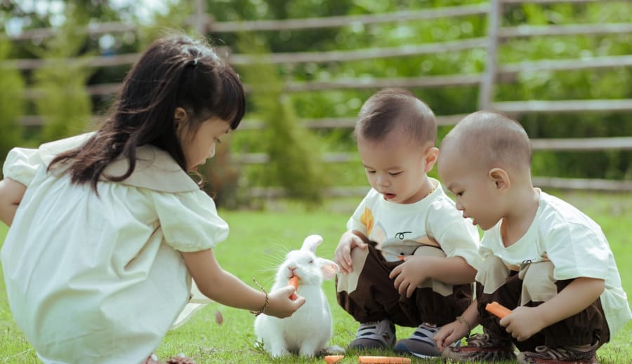 Válunk, hova kerüljenek a gyerekek?