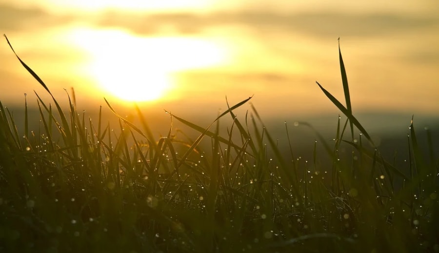 Kezdődik az év, közeledik a jövő