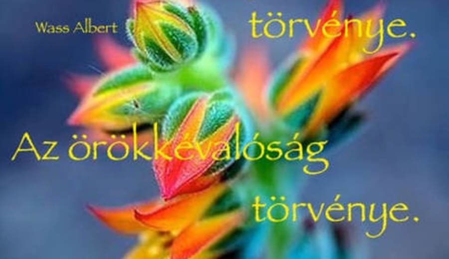 MÉLTÓ VAGY AZ ÉLET SZERETETÉRE.