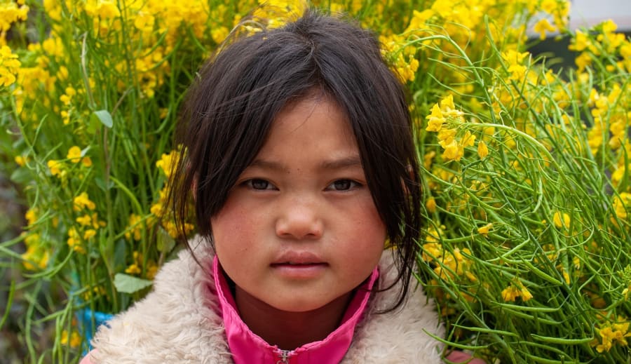 Milyen a HALAK jegyű gyermek az iskolában ha rosszalkodik