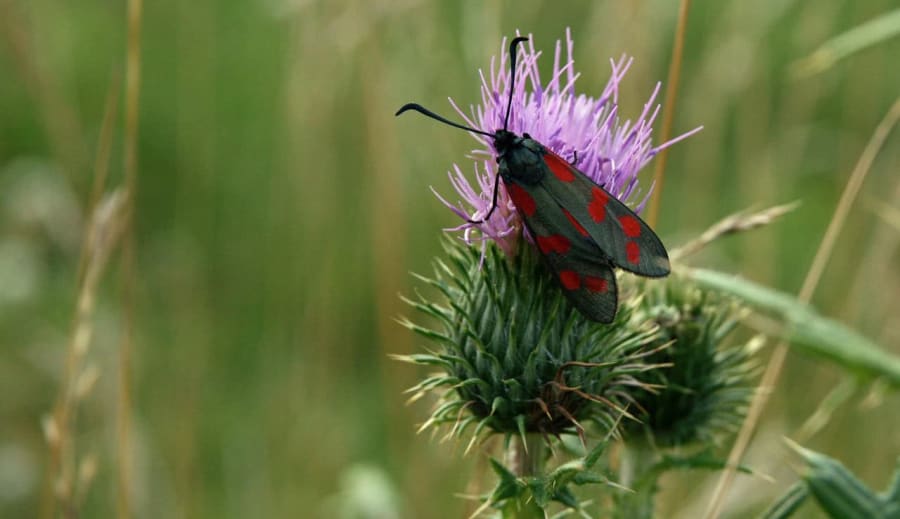 Párkapcsolat spiri szemmel – 3. rész