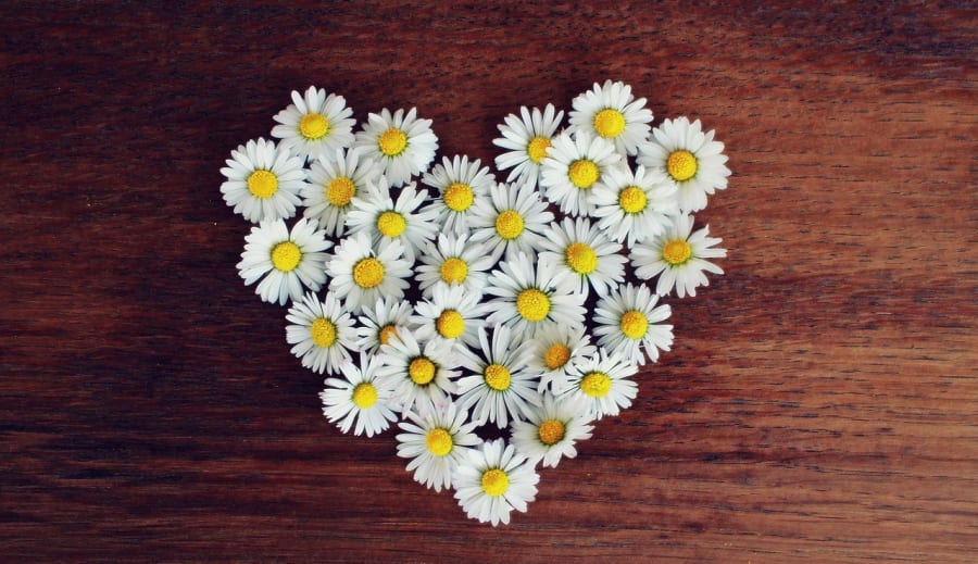 Tisztánlátó vagy? 4. rész