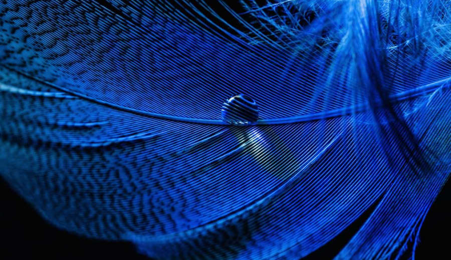 Védelmi energia II. rész