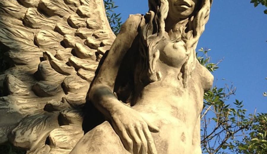 Gloria med änglafittan