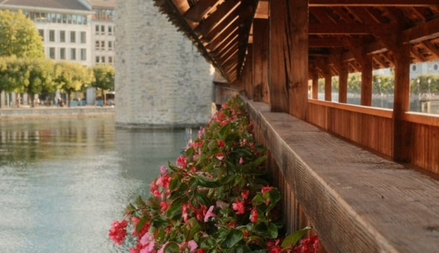 Pulla fittan.