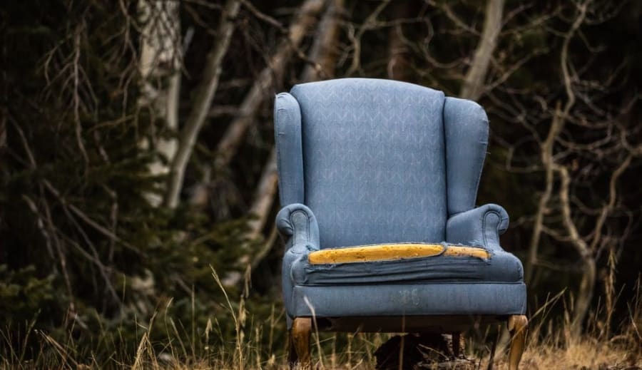 Sexuella pinsamheter