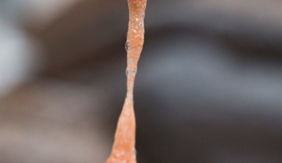 Snigelslem
