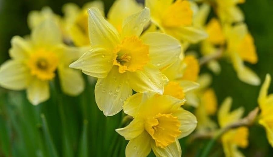 Träff med tjejerna!