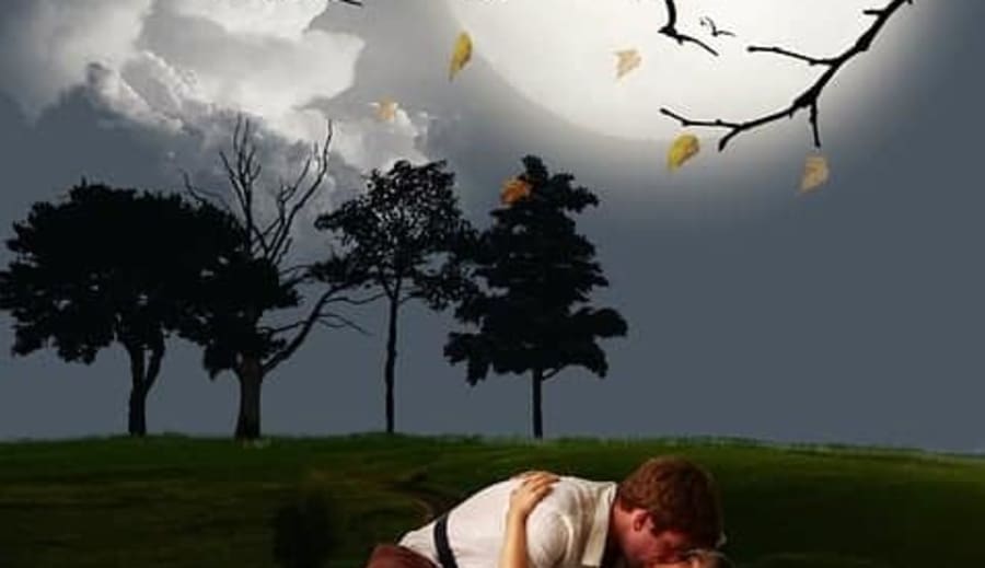 Ute i stugorna och hagarna