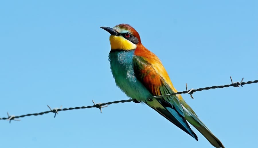 Rovnováha tela a mysle: cesta k skutočnej pohode