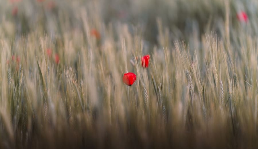 Wellness ako cesta k rovnováhe tela a mysle
