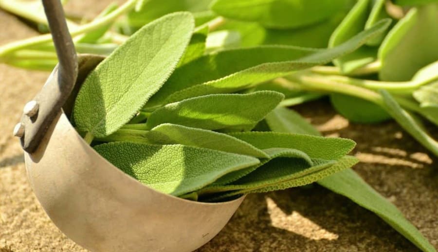 Bylinková lékárnička