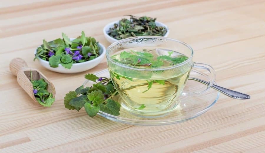 Bylinky nejsou léky