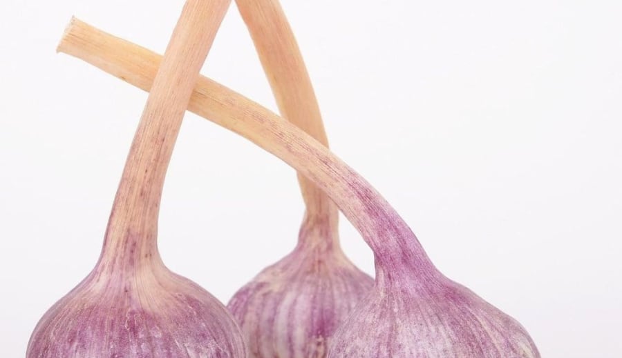 Česnek sem, česnek tam