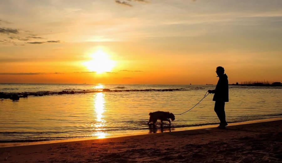 Chůze a bolavé koleno