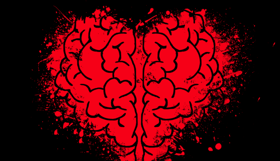 Co znamená mít anginu pectoris?