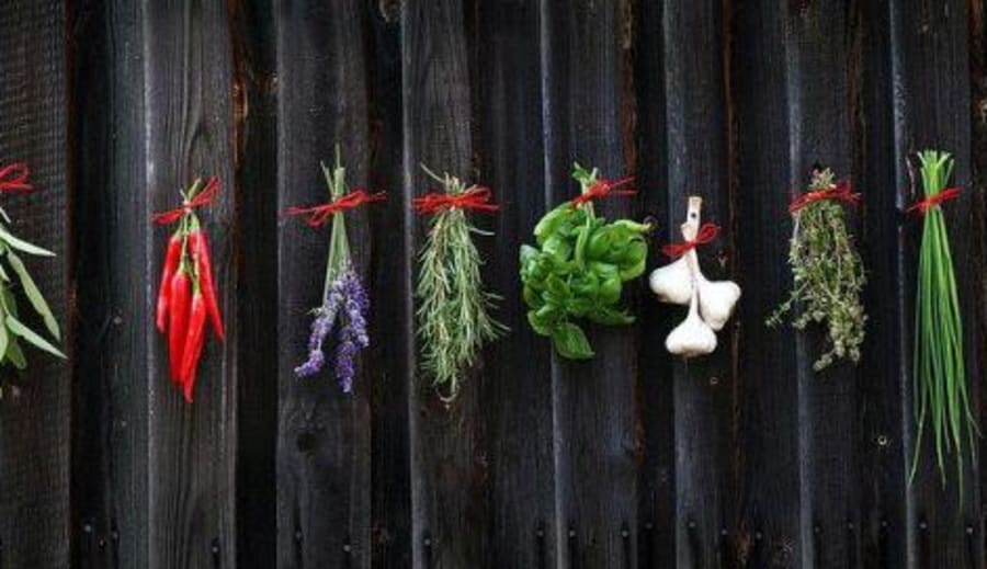 Léčíme se bylinkami