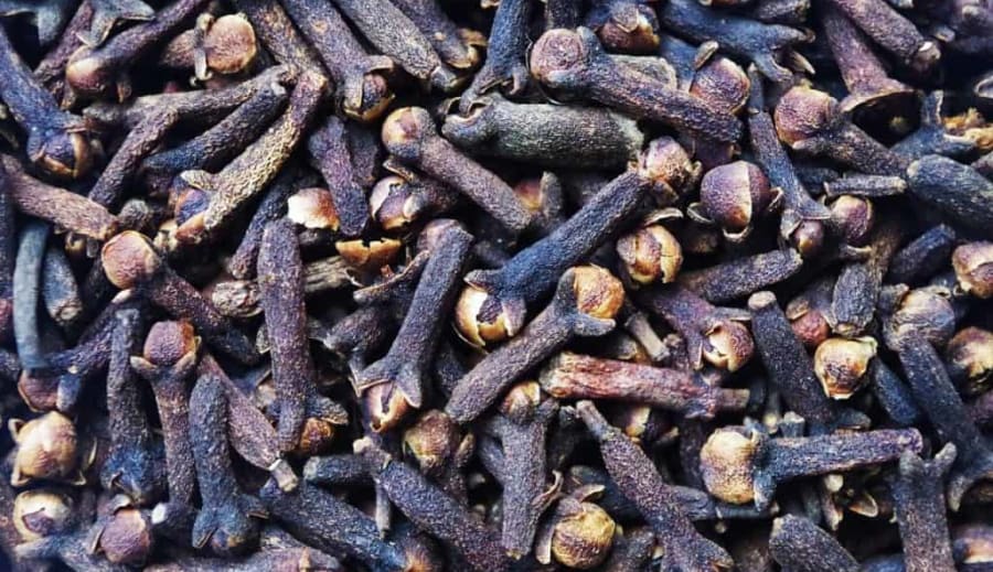 Léčivka hřebíček