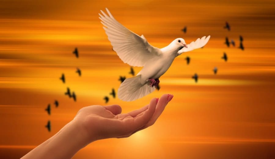 NÁBOŽENSTVÍ A DUCHOVNO