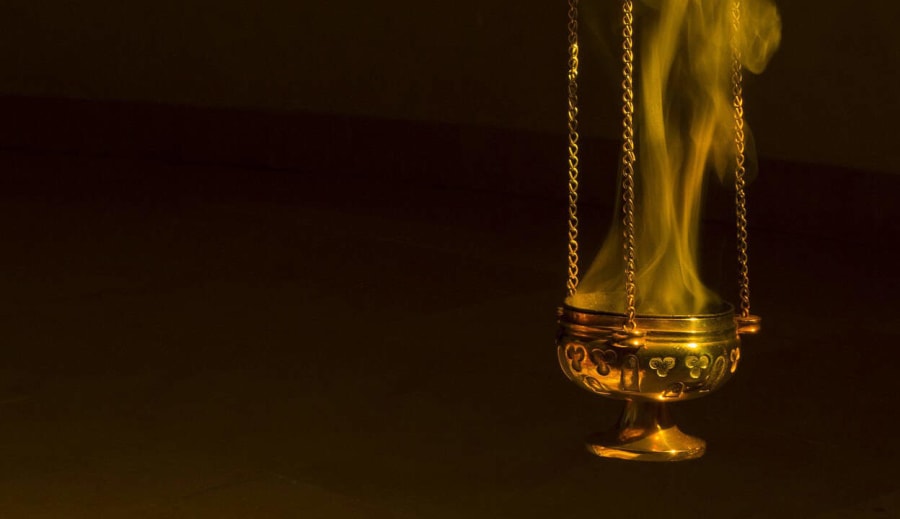 Vůně nebo zápach?