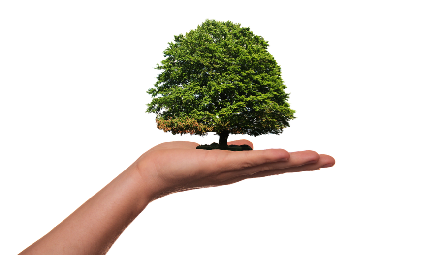 A környezettudatosság