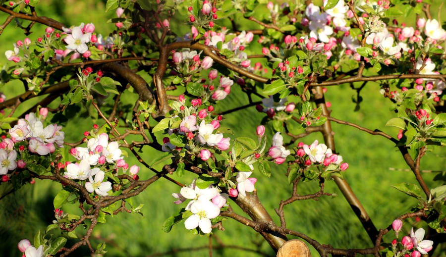 Április: A túrázók barátja vagy ellensége?