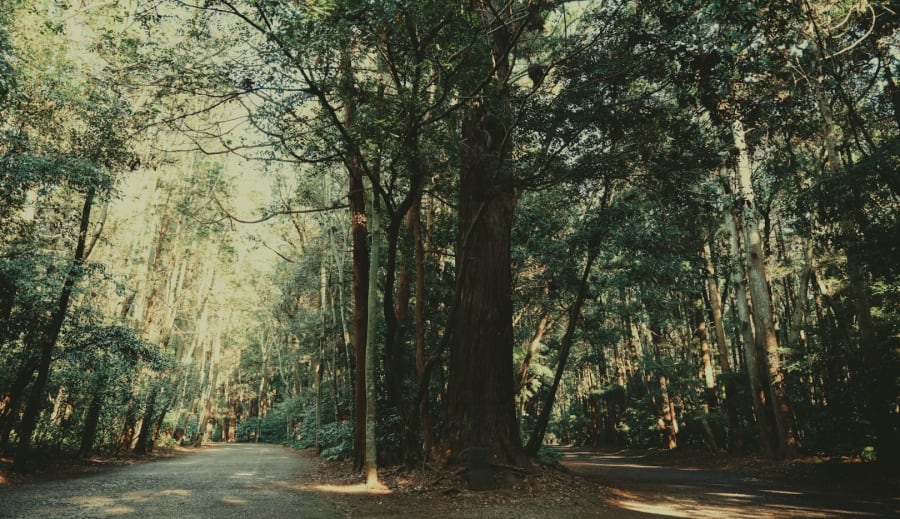Különösen hatnak rád az ősi spirituális terek?