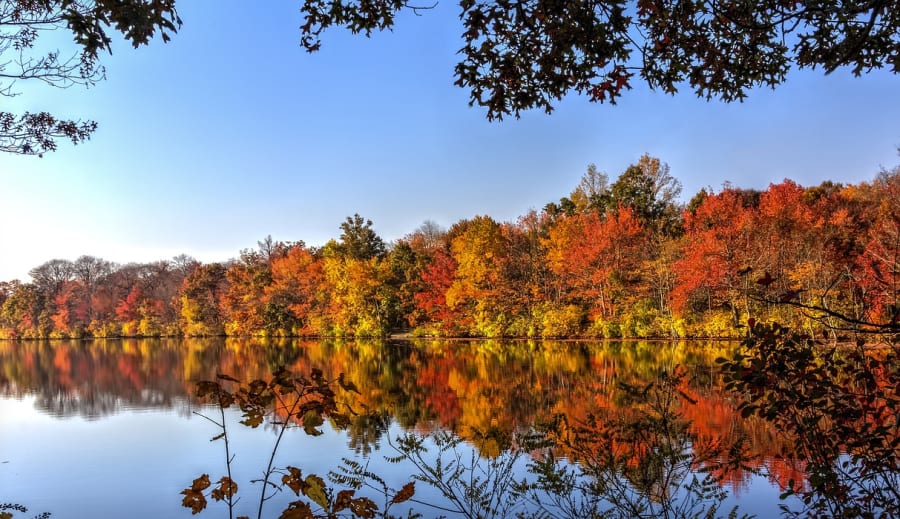 Az őszi erdők szépsége